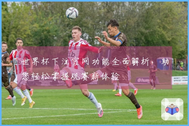 世界杯下注官网功能全面解析，助您轻松掌握观赛新体验
