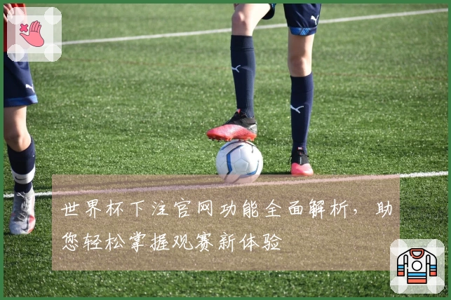 世界杯下注官网功能全面解析，助您轻松掌握观赛新体验