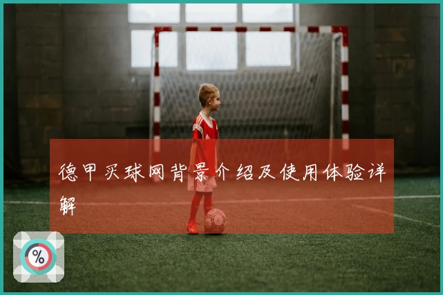 德甲买球网背景介绍及使用体验详解