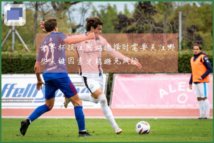 世界杯投注网站选择时需要关注哪些关键因素才能避免风险