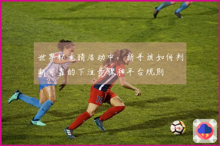 世界杯竞猜活动中，新手该如何判断可靠的下注步骤和平台规则