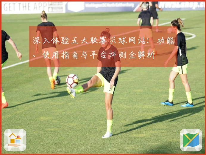 深入体验五大联赛买球网站：功能、使用指南与平台评测全解析