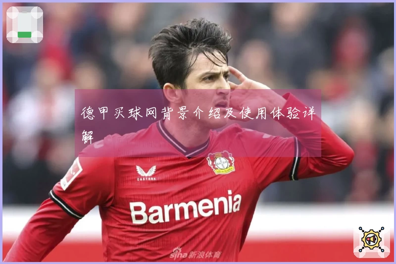 德甲买球网背景介绍及使用体验详解