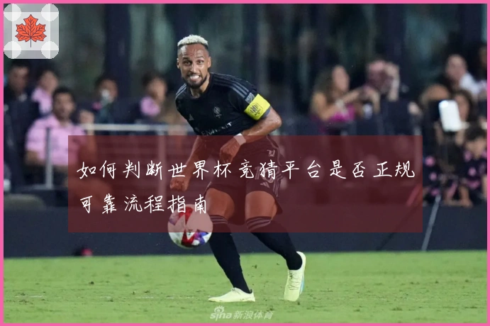 如何判断世界杯竞猜平台是否正规可靠流程指南