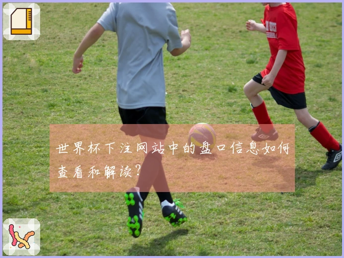 世界杯下注网站中的盘口信息如何查看和解读？