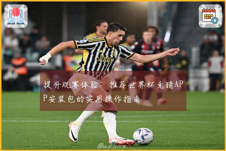 提升观赛体验，推荐世界杯竞猜APP安装包的实用操作指南