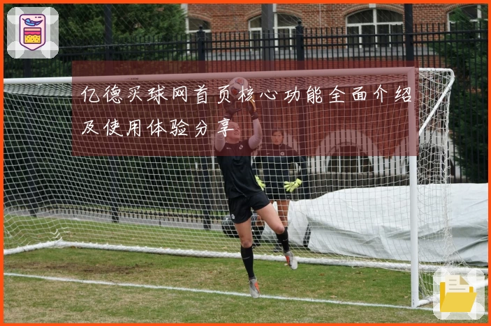亿德买球网首页核心功能全面介绍及使用体验分享