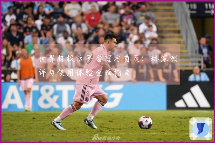世界杯投注平台官方首页：玩家测评与使用体验全面指南